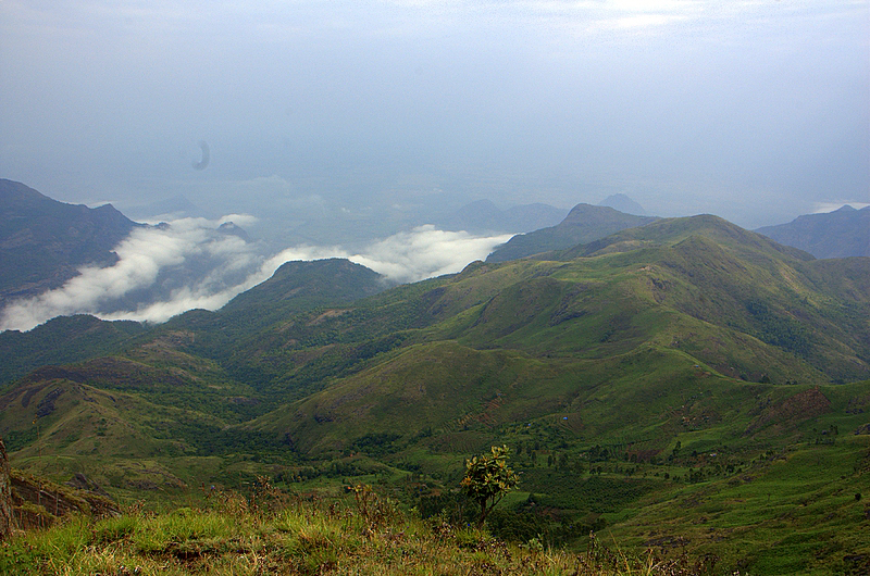 Palani_hills_kodaikanal.jpg