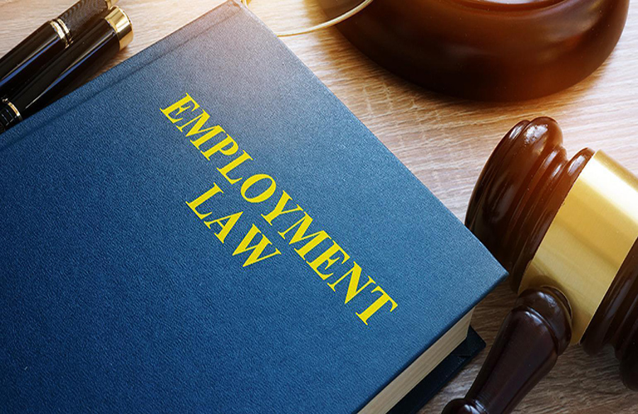 Understanding the Impact of the New Joint Employer Rule