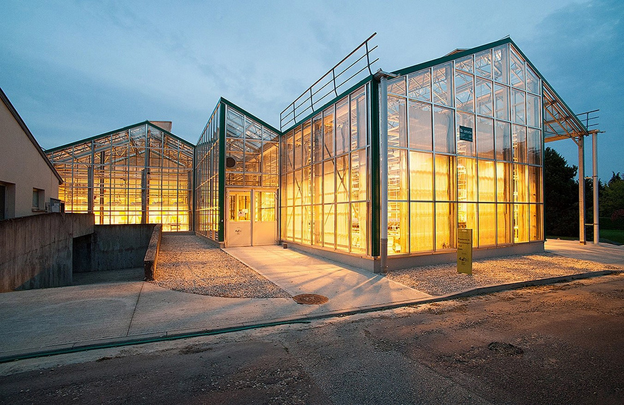 Advancing Horticulture Research with Deforche Construction Group's Research Greenhouses